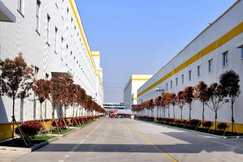 莒南花生 探秘花生世界，开启研学之旅