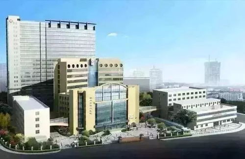 端午假期天气、出行信息与节日福利指南——聚焦昆山市花桥中心校