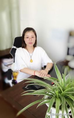 花桥中心小学优秀教师风采录