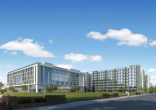 昆山市花桥中心校开工率达90%，重大产业项目火力全开